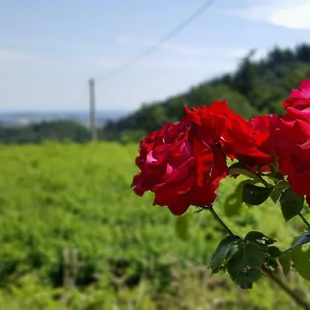 아파트 La Casetta Di Chiara 푸르마네
