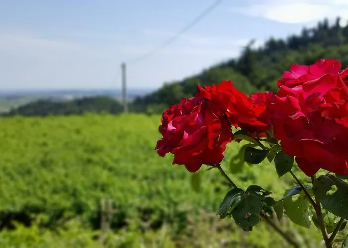 아파트 La Casetta Di Chiara 푸르마네