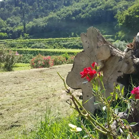 La Casetta Di Chiara شقة